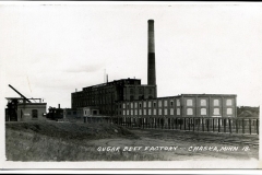 Chaska Sugar Beet Plant Postcard