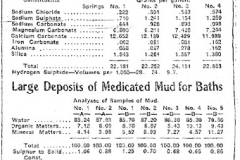 Shakopee Mudcura Sanitarium Ad